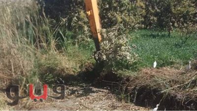 إزالة ٤٦٪؜ من حالات التعدي المستهدف إزالتها خلال الموجة ١٧ بقنا