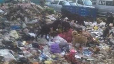 مزلقان لعبة بأوسيم مشروع كارثة جديد بعد حادث سوهاج.. الأهالي يطالبون بسلم مشاه.. ويحذرون: أطفال المدارس يعبرون السكة الحديد