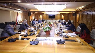 وزير التعليم العالي يبحث مع السفير الياباني دعم التعاون العلمي بين البلدين