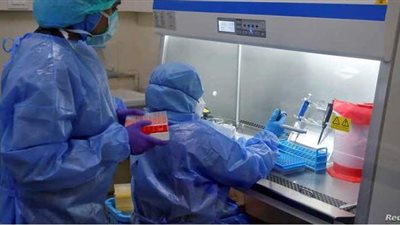 الخفافيش السبب.. دراسة للصحة العالمية تحسم الجدل حول أصل كورونا