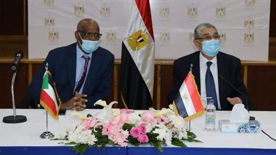 453 مليون جنيه لرفع قدرة خط الربط الكهربائي بين مصر والسودان