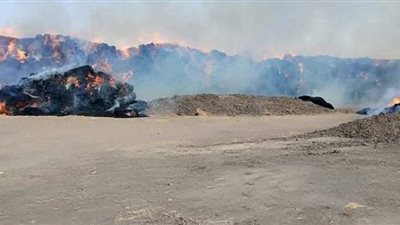 حريق يلتهم شونة لتخزين قش الأرز في الغربية | صور