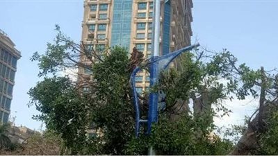 رفع كفاءة كورنيش النيل في الجيزة بأعمدة إنارة | صور