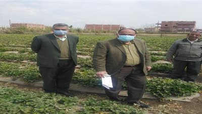 جامعة بنها تنظم قافلة زراعية بقرية الدير بطوخ