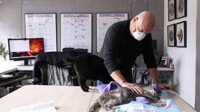 روسيا تسجل أول لقاح في العالم لحماية الحيوانات من كورونا