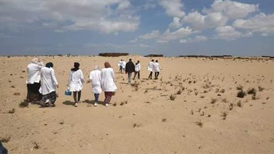 ٤ كيلو مشي.. فرق تطعيم شلل الأطفال ببئر العبد لن يضلوا الطريق | صور