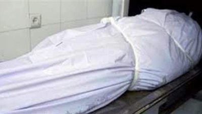 طعنها 17 مرة.. مريض نفسي يمزق جسد والدته بالخصوص