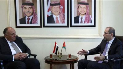 وزير الخارجية يبحث مع نظيره الأردني أزمة سد النهضة
