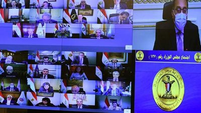 الحكومة توافق علي تطبيق نظام الزراعات التعاقدية على محصولي فول الصويا وعباد الشمس