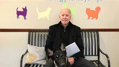 كلب مسعور فى البيت الأبيض.. 