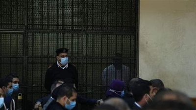 قلبت الموازين.. الدفاع يفجر مفاجأة في محاكمة متحرش المعادي