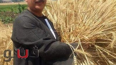 أبو صدام: سعر شراء الحكومة للأقماح مرضي للفلاحين