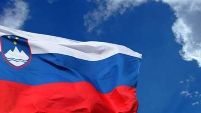 محتج يحاول اقتحام برلمان سلوفينيا بواسطة منشار | فيديو