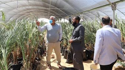 محافظ الوادي الجديد يتفقد مشروعين للاستثمار الزراعي بمدينة الخارجة