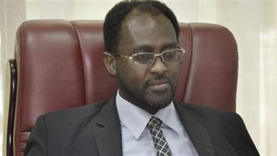 صمود المشير والمشير !