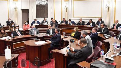 حبس سنتين وغرامة ٢٠٠ ألف جنيه.. عقوبات جديدة ضد التنمر على ذوي الإعاقة