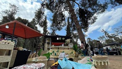 50 عارضا يشاركون في أول معرض للتمور بالقاهرة داخل حديقة الأورمان