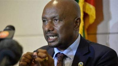 وزير الري الإثيوبي يغازل مصر والسودان: لا نرغب في إلحاق الضرر بكما