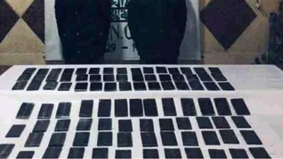 حبس ٦ عناصر إجرامية بتهمة حيازة ٩٠ طربة حشيش