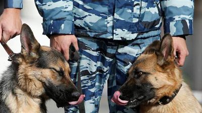 التهمة إساءة معاملة كلب.. استقالة ضابط بالشرطة الأمريكية بعد التحقيق معه