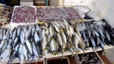 نظام اعتماد المنشآت يفتح الأسواق العالمية أمام الأسماك المصرية