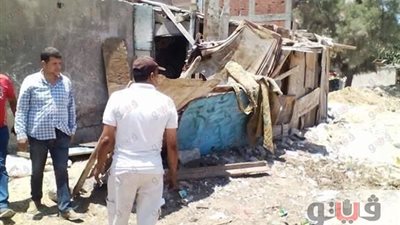 بالصور.. حي الضواحي في بورسعيد يزيل حظيرتين بدون ترخيص