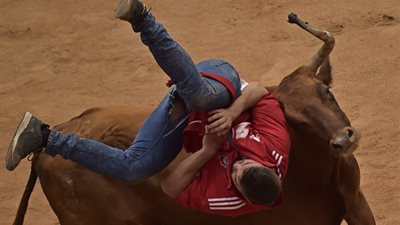 بالفيديو والصور.. لحظات مروعة مهاجمة ثور رواد مهرجان إسبانى