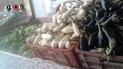 بالفيديو.. الطماطم تسجل 4 جنيهات بالأسواق