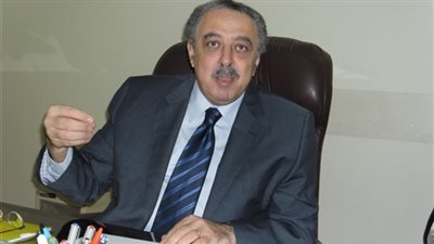 مرقص: مبادرات الحوار الوطنى غير مشجعة