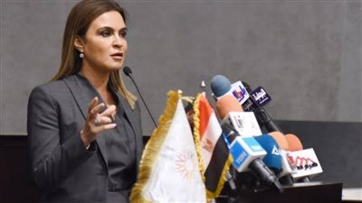 خريطة خدمات وزارة الاستثمار في القاهرة والمحافظات.. تعرف عليها