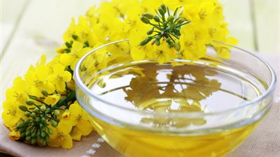 «زيت الكانولا» للوقاية من أمراض القلب وتخفيض مستوى السكر