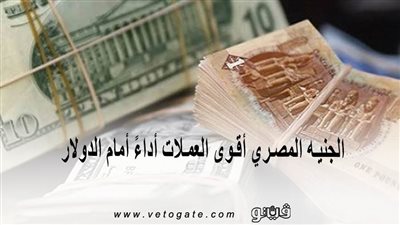 الجنيه المصري أقوى العملات أداءً أمام الدولار في الأسواق الناشئة عام 2019 | إنفوجراف