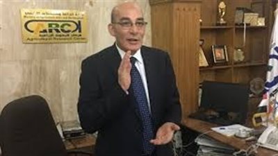 البنا: نسعى لزيادة رقعة زراعة القطن لـ350 ألف فدان