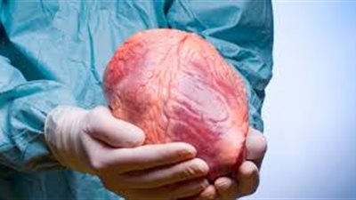 وكيل «طب قصر العيني» يطالب الدولة بتطبيق قانون التبرع بالأعضاء