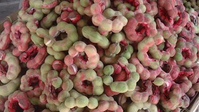 7 فوائد طبية لـ«اللوز الهندي».. تعرف عليها