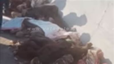 نيابة الإسكندرية تحقق في واقعة العثور على هياكل آدمية وجثث