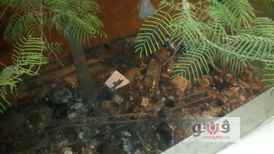 بالصور.. أهالي منشأة ناصر يستغيثون: مساكننا آيلة للسقوط