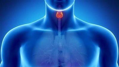 أستاذ الغدد الصماء يكشف مفاجأة صادمة عن أدوية مرض الغدة الدرقية بالأسواق