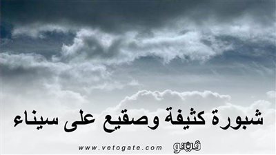 شبورة كثيفة وصقيع على سيناء.. الأرصاد تعلن طقس اليوم