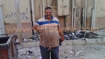 مشرف نظافة يستخرج «ثعبانا» من عقار سكني ببورسعيد