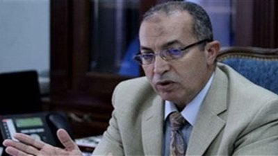 رئيس الجمارك المصرية: لا يمكن القضاء على التهريب بنسبة 100%