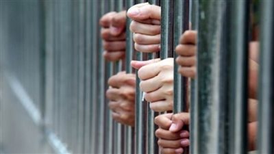 القبض على تشكيل عصابي أحدهما سبق اتهامه في 47 قضية بالمنيا