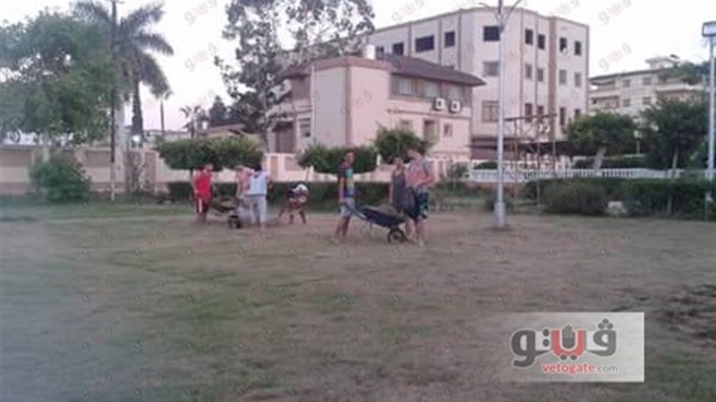 فيتو