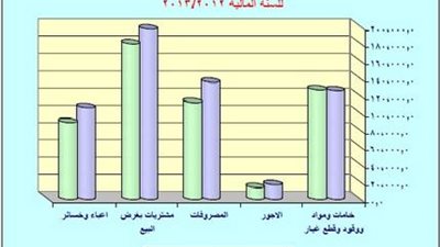 23 % زيادة في الأجور بموازنة الهيئات الاقتصادية 2013