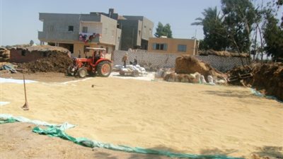 جمعية تسويق المحاصيل تطالب وزير الزراعة بتحديد سعر طن الأرز