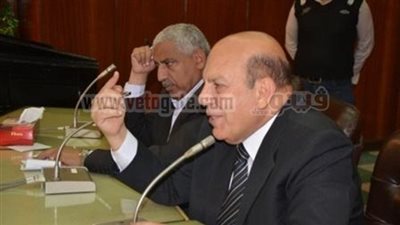 لبيب: 10 ملايين جنيه لمشروعات النظافة بقنا