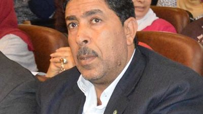 «إبراهيم هيكل» يطالب رجال الأعمال بدعم العاملين بالقطاع الخاص