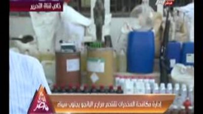 بالفيديو.. «مكافحة المخدرات» تقتحم مزارع «البانجو» بجنوب سيناء