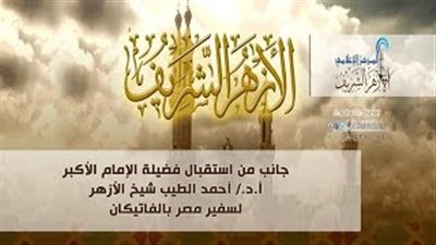 «الطيب»: تغليب المبادئ الإنسانية مع الغرب دون المساس بمصالحنا