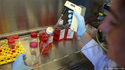 علماء نيوزيلانديون يقتربون من تطوير مصل لعلاج السيلان